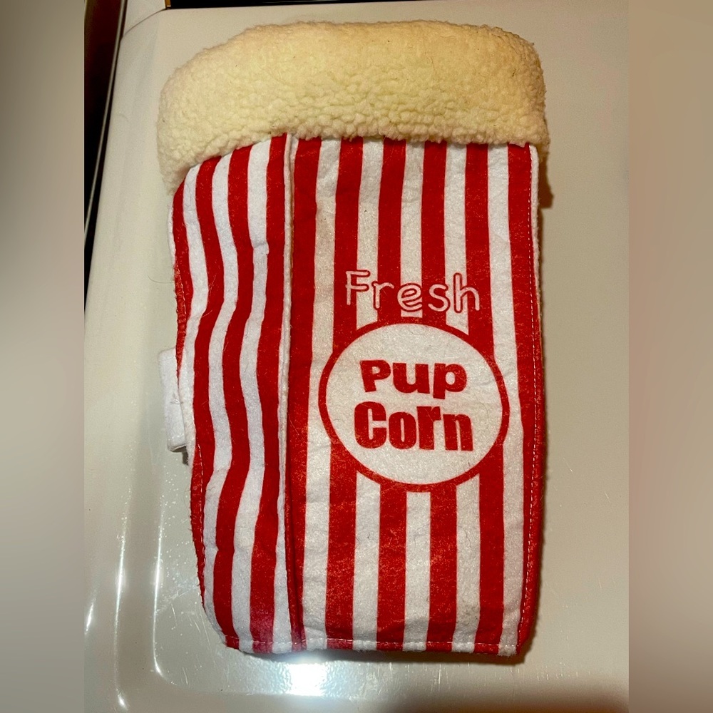 Popcorn Halloween costume